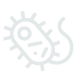 shape icon